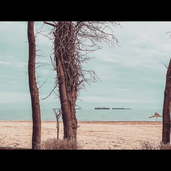 Meet your Posher, Allegra - Picture 13 of 14